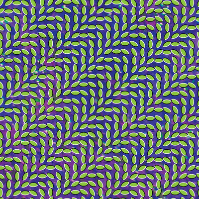 Merriweather Post Pavilion album artwork
