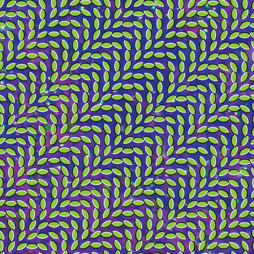 Merriweather Post Pavilion by Animal Collective